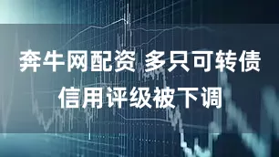 奔牛网配资 多只可转债信用评级被下调