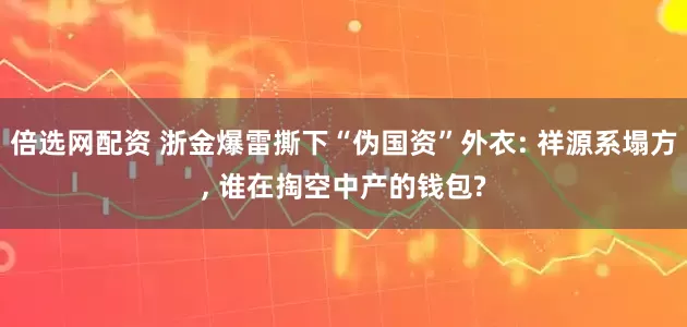 倍选网配资 浙金爆雷撕下“伪国资”外衣: 祥源系塌方, 谁在掏空中产的钱包?